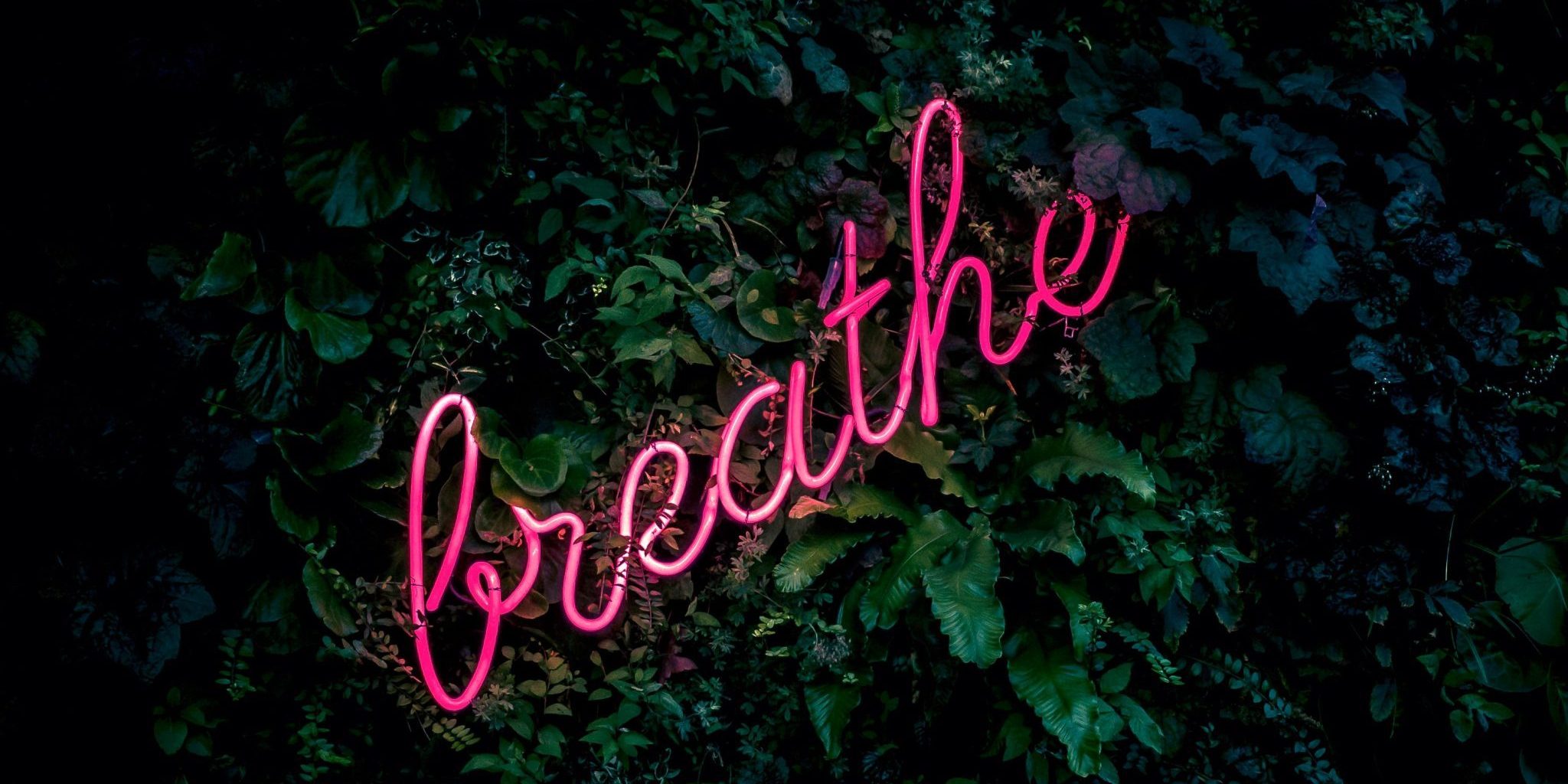 fabian-moller-gI7zgb80QWY-unsplash